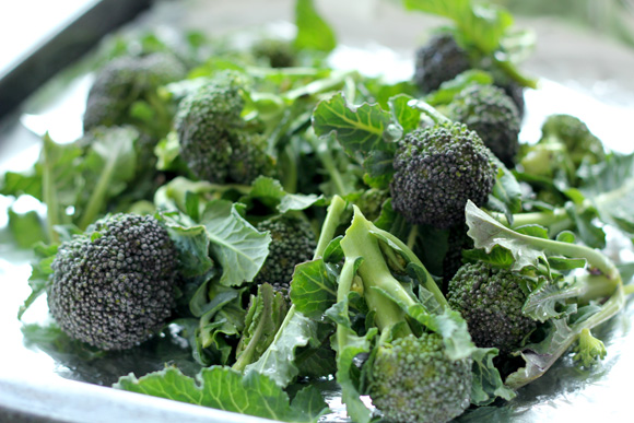 Channeling-Contessa-Roasted-Broccoli-1