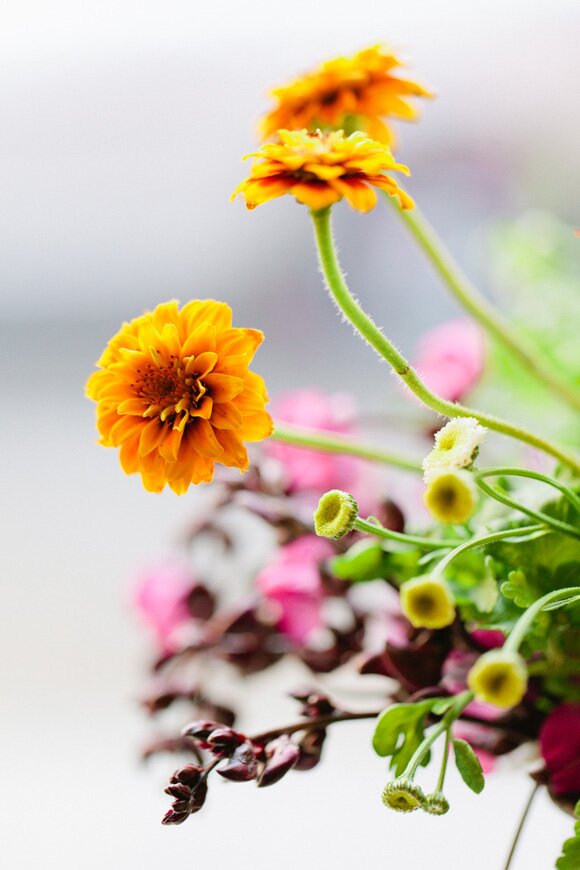 Sasithon-Photography-Buttermilk-Channel-0003